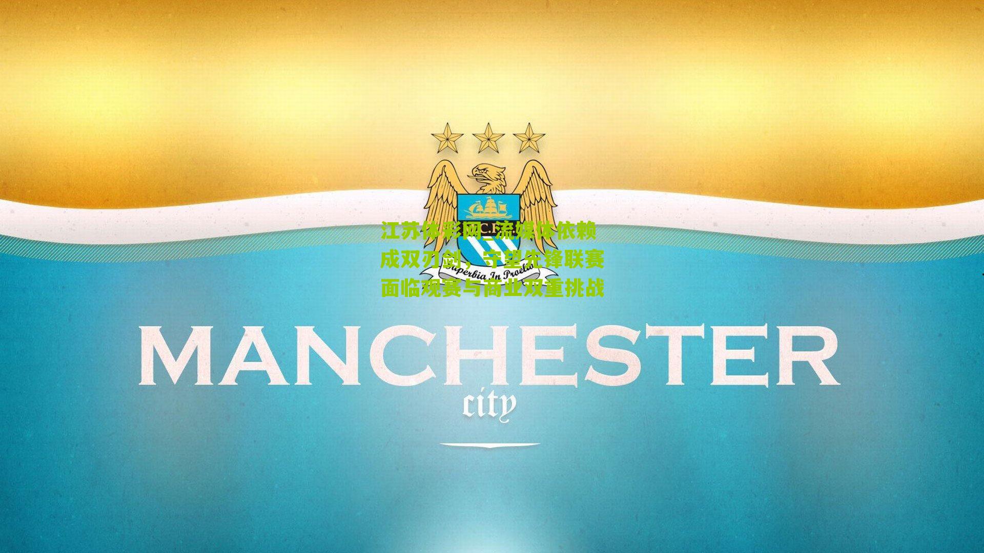 流媒体依赖成双刃剑，守望先锋联赛面临观赛与商业双重挑战