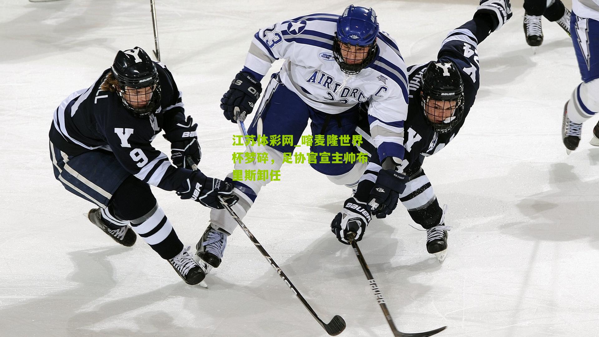 喀麦隆世界杯梦碎，足协官宣主帅布里斯卸任