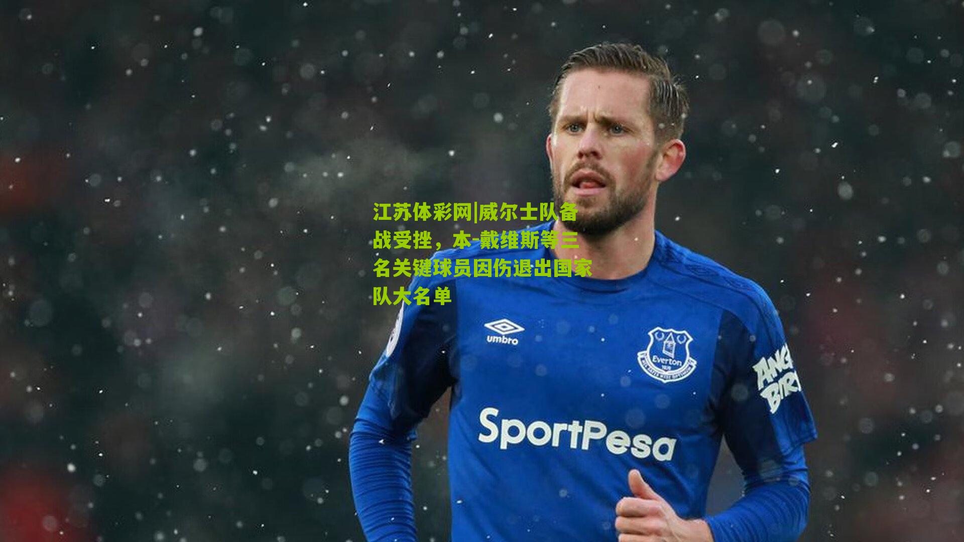 威尔士队备战受挫,本-戴维斯等三名关键球员因伤退出国家队大名单